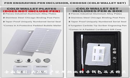 全面解析：大陆用户使用的比特币钱包及其特点