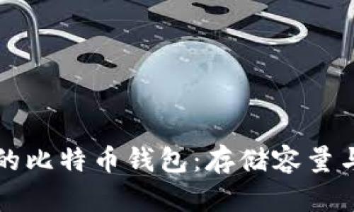 揭秘最大的比特币钱包：存储容量与财富计算