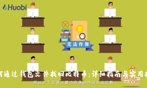 如何通过钱包文件找回比特币：详细指南与实用技巧