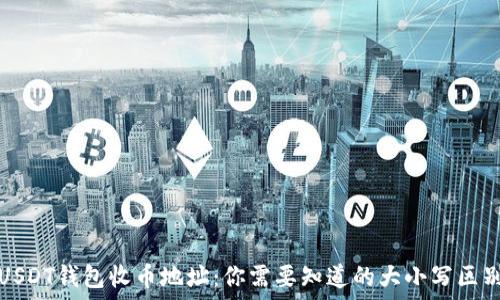   
USDT钱包收币地址：你需要知道的大小写区别
