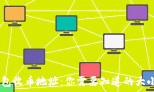   
USDT钱包收币地址：你需要知道的大小写区别