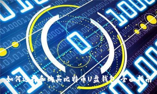 如何选择和购买比特币U盘钱包：全面指南