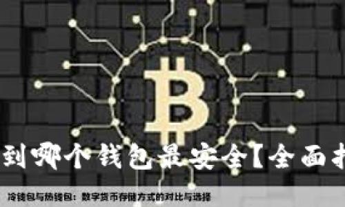 USDT提取到哪个钱包最安全？全面指南与推荐