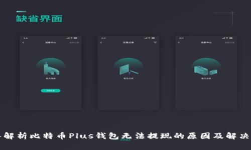 深入解析比特币Plus钱包无法提现的原因及解决方案