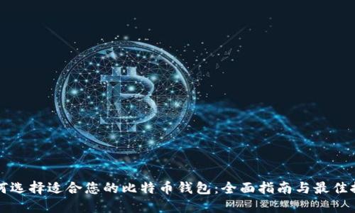 如何选择适合您的比特币钱包：全面指南与最佳推荐