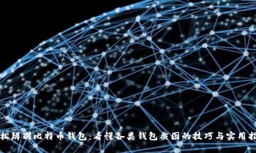 轻松辨别比特币钱包：看懂各类钱包截图的技巧与实用指南