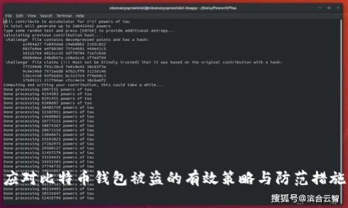 应对比特币钱包被盗的有效策略与防范措施