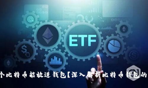  究竟多少个比特币能放进钱包？深入解析比特币钱包的容量与管理