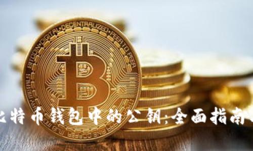 如何查看比特币钱包中的公钥：全面指南与实用技巧