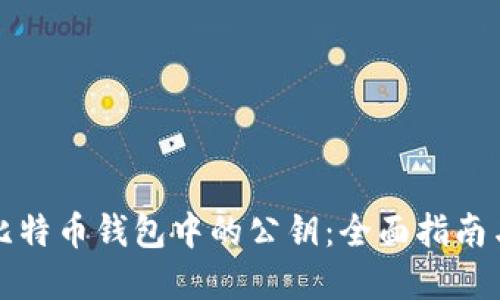 如何查看比特币钱包中的公钥：全面指南与实用技巧