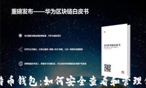 
全面解读比特币钱包：如何安全查看和管理你的数字资产