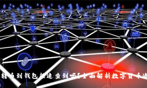 USDT交易所转币到钱包能追查到吗？全面解析数字货币追踪的可能性