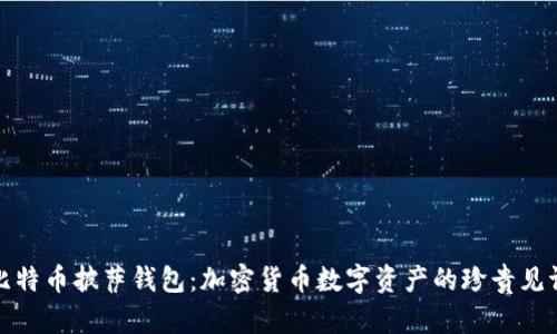 比特币披萨钱包：加密货币数字资产的珍贵见证