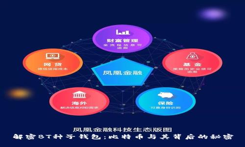 解密BT种子钱包：比特币与其背后的秘密