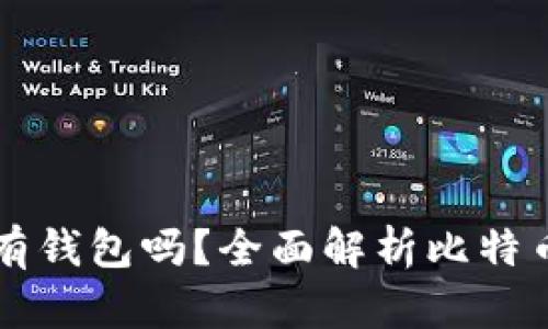 比特币交易网究竟有钱包吗？全面解析比特币钱包的类型与功能