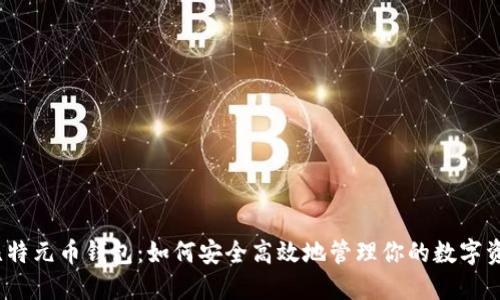 : 比特元币钱包：如何安全高效地管理你的数字资产？
