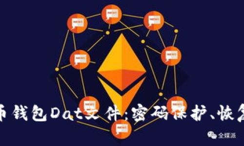 : 解密比特币钱包Dat文件：密码保护、恢复与安全指南