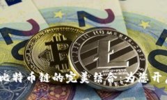 :全面解读TP钱包与比特币