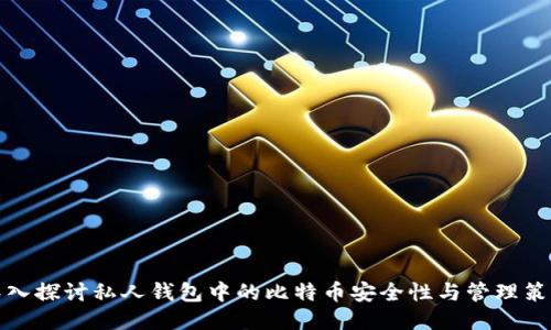 深入探讨私人钱包中的比特币安全性与管理策略