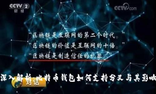 深入解析：比特币钱包如何支持分叉与其影响