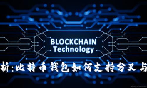 深入解析：比特币钱包如何支持分叉与其影响