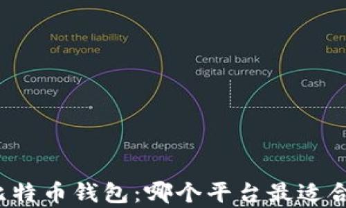 
全面解析比特币钱包：哪个平台最适合你的需求？