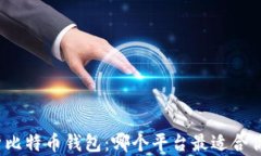 全面解析比特币钱包：哪