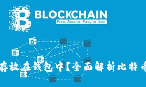 为什么你应该将比特币存放在钱包中？全面解析比特币存储的安全性与必要性