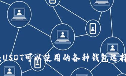 全面解析：USDT可以使用的各种钱包选择及其优势