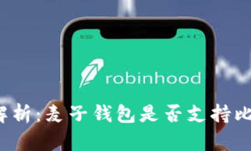 全面解析：麦子钱包是否支持比特币？