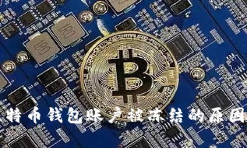 深入解析比特币钱包账户被冻结的原因及解决方案