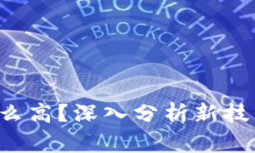 为什么Web3开发薪资这么高？深入分析新技术背后的价值与薪酬结构