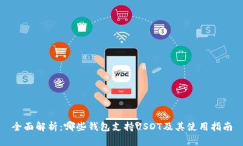 全面解析：哪些钱包支持USDT及其使用指南