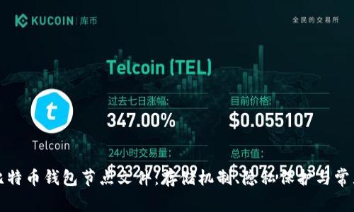 全面解析比特币钱包节点文件：存储机制、隐私保护与常见问题解答