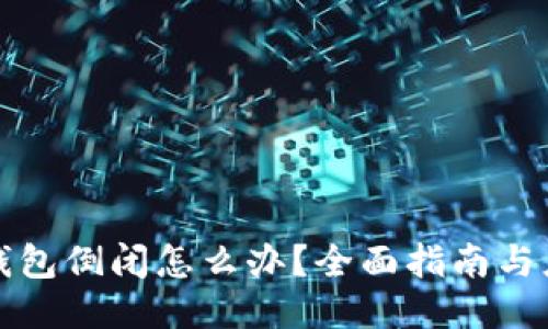 比特币钱包倒闭怎么办？全面指南与应对策略