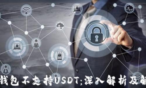 
为什么钱包不支持USDT：深入解析及解决方案