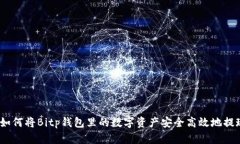 全面解析：如何将Bitp钱包里的数字资产安全高效