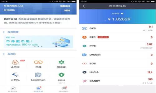  全面解析：如何选择和使用比特币 DAT 钱包，保障你的投资安全