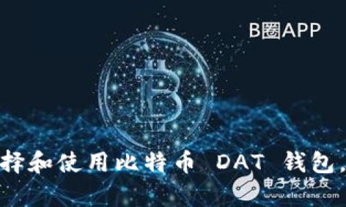  全面解析：如何选择和使用比特币 DAT 钱包，保障你的投资安全