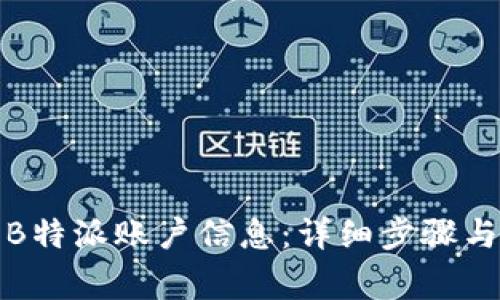 如何查询B特派账户信息：详细步骤与注意事项