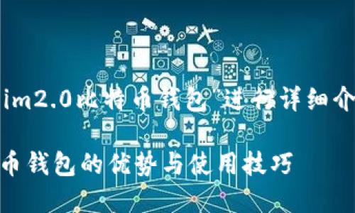 提示：该内容将围绕“token.im2.0比特币钱包”进行详细介绍，下面是相关的和关键词。

全面探讨token.im2.0比特币钱包的优势与使用技巧