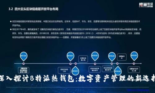 深入探讨B特派热钱包：数字资产管理的新选择