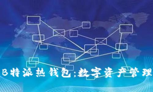 深入探讨B特派热钱包：数字资产管理的新选择