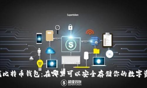 寻找比特币钱包：在哪里可以安全存储你的数字资产？
