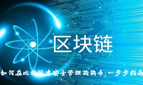 如何在比特派中安全管理狗狗币:一步步指南