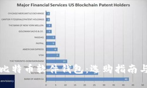 全面解析比特币软件钱包:选购指南与使用推荐