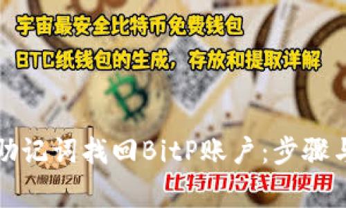 如何通过助记词找回BitP账户:步骤与注意事项