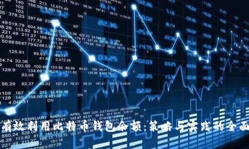 如何有效利用比特币钱包余额:策略与实践的全面指南