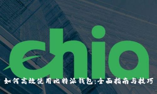如何高效使用比特派钱包：全面指南与技巧