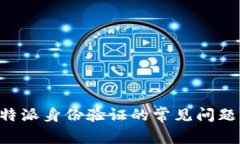 深入探讨B特派身份验证的常见问题及